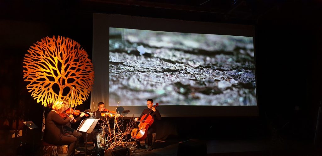 L'arbre murmure - Nouveau spectacle du Quatuor Annesci